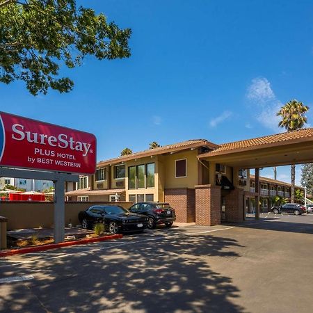 Surestay Plus Hotel By Best Western Mountain View Luaran gambar